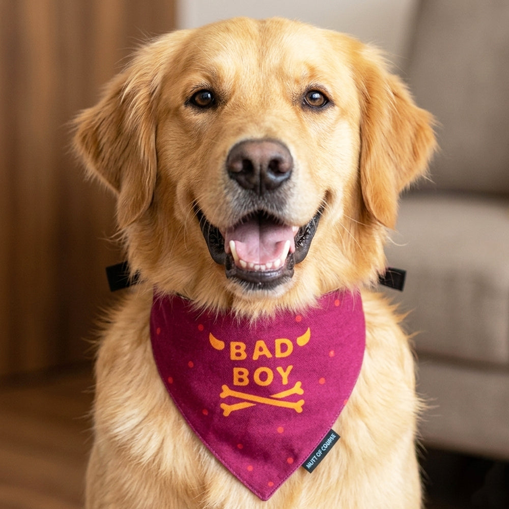Bad Boy Bandana