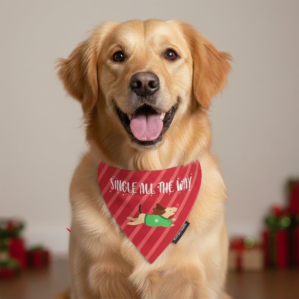 Single All The Way Bandana <br> (Limited Stock)