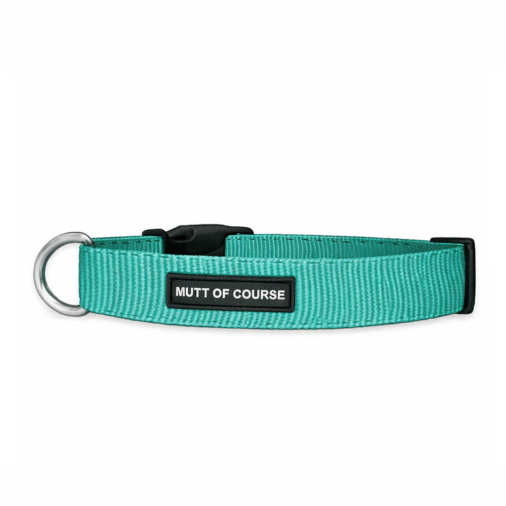Mutt Of Course Basic Sea Green Dog Collar