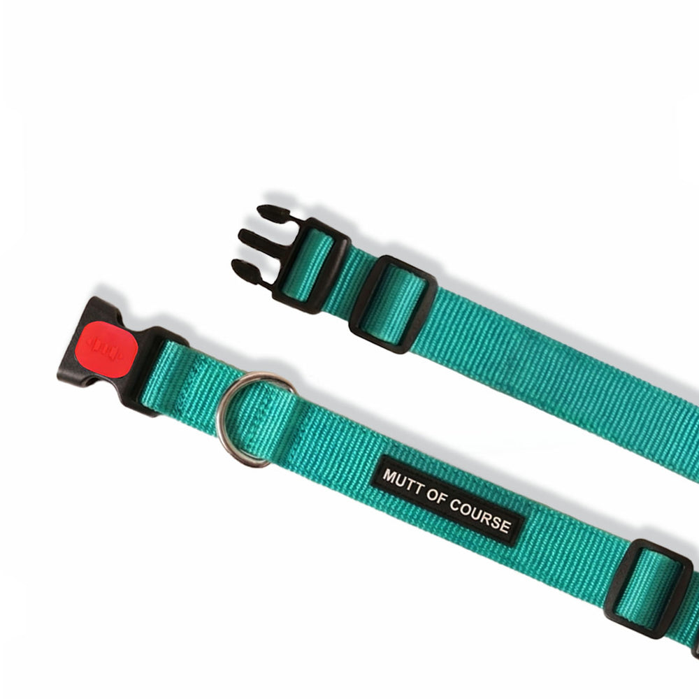 Mutt Of Course Basic Sea Green Dog Collar