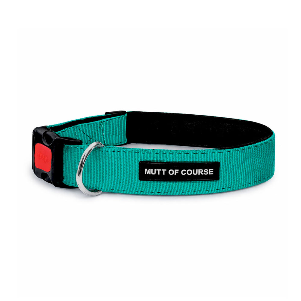 Mutt Of Course Basic Sea Green Dog Collar