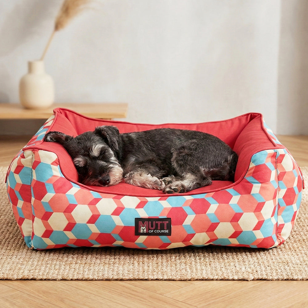 Candy Barr Lounger Bed