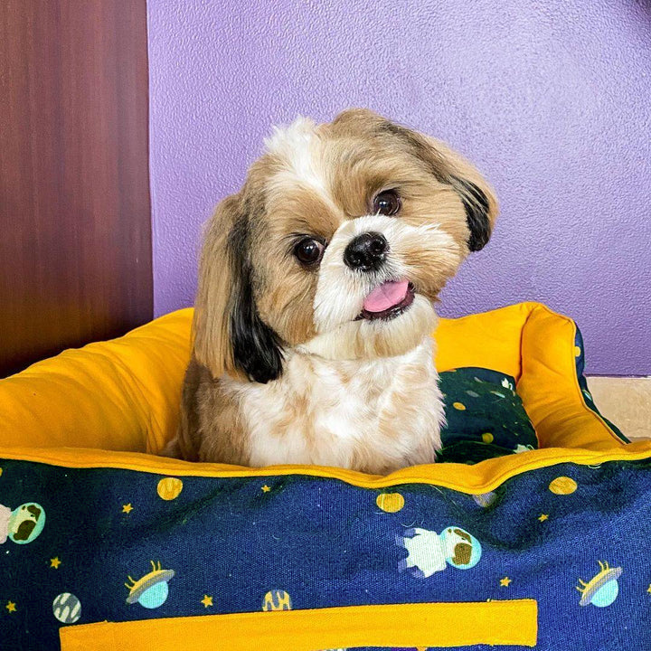 Elon Mutt Bed