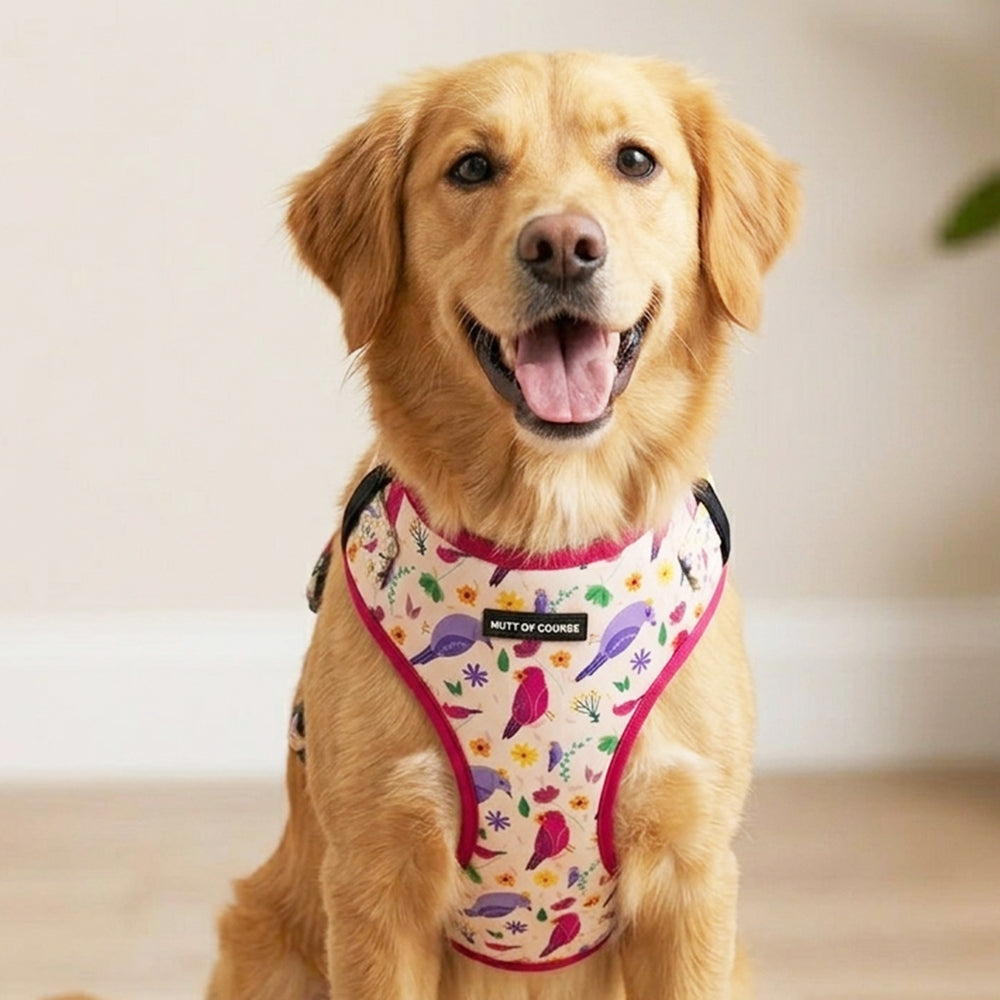 Chirpy Chirps Vest Harness For Dogs