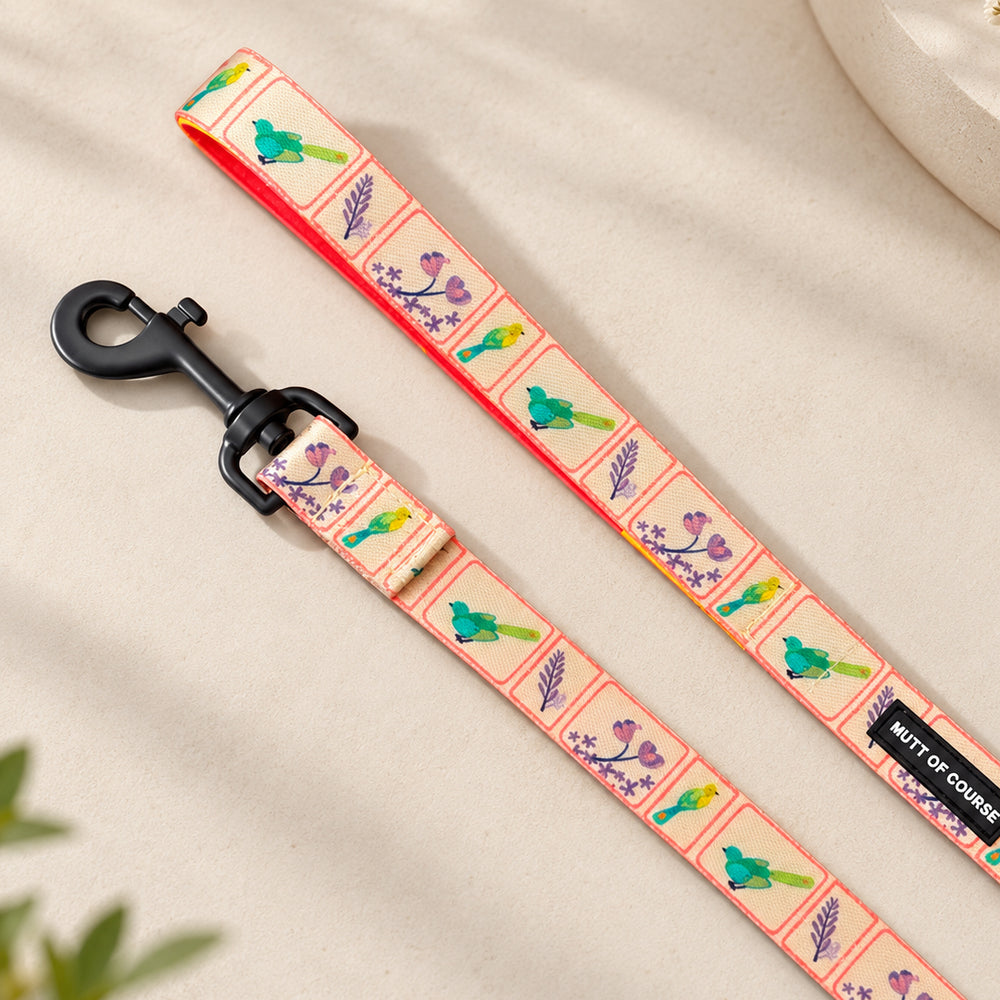 Birdie Leash