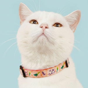 Birdie Collar For Cats