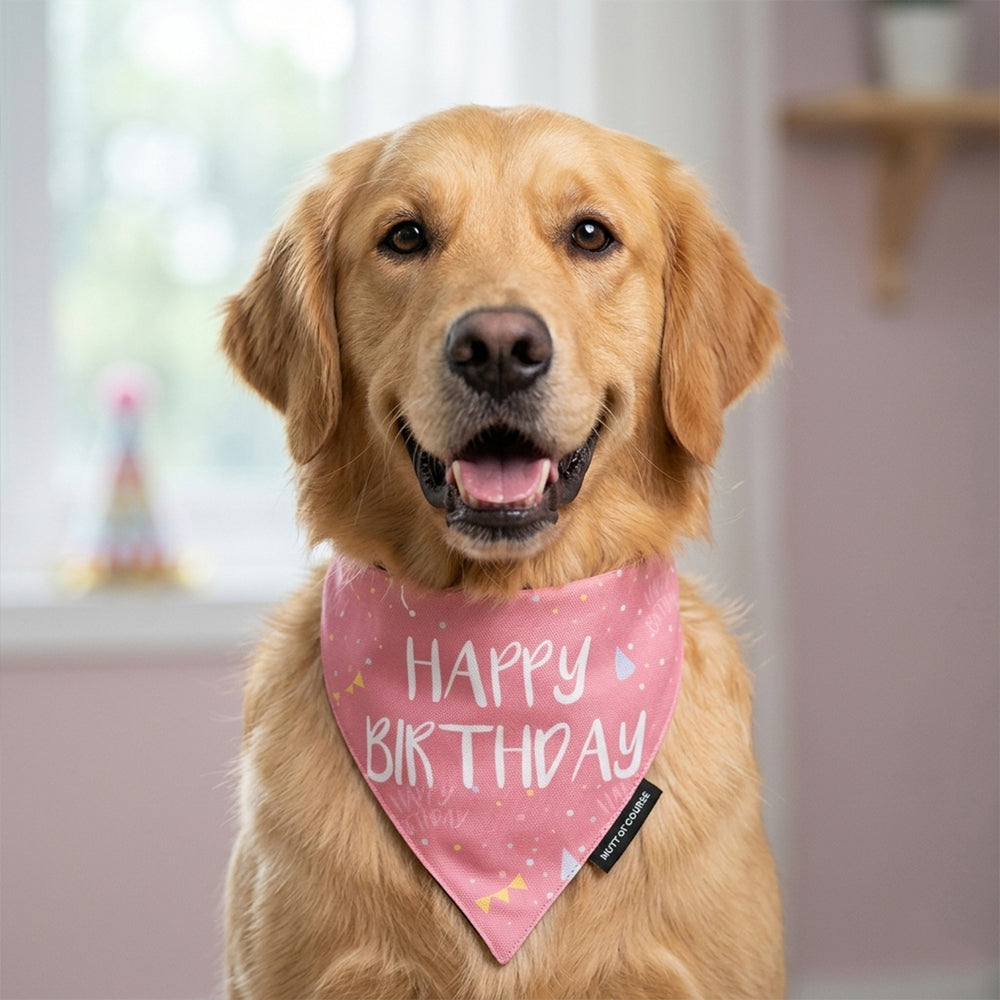 Happy Birthday Bandana – Pink