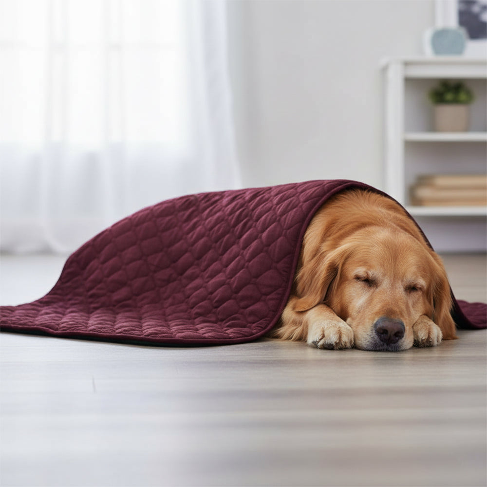 Burgundy Quilted Blanket for Cats and Dogs (3 Layered)