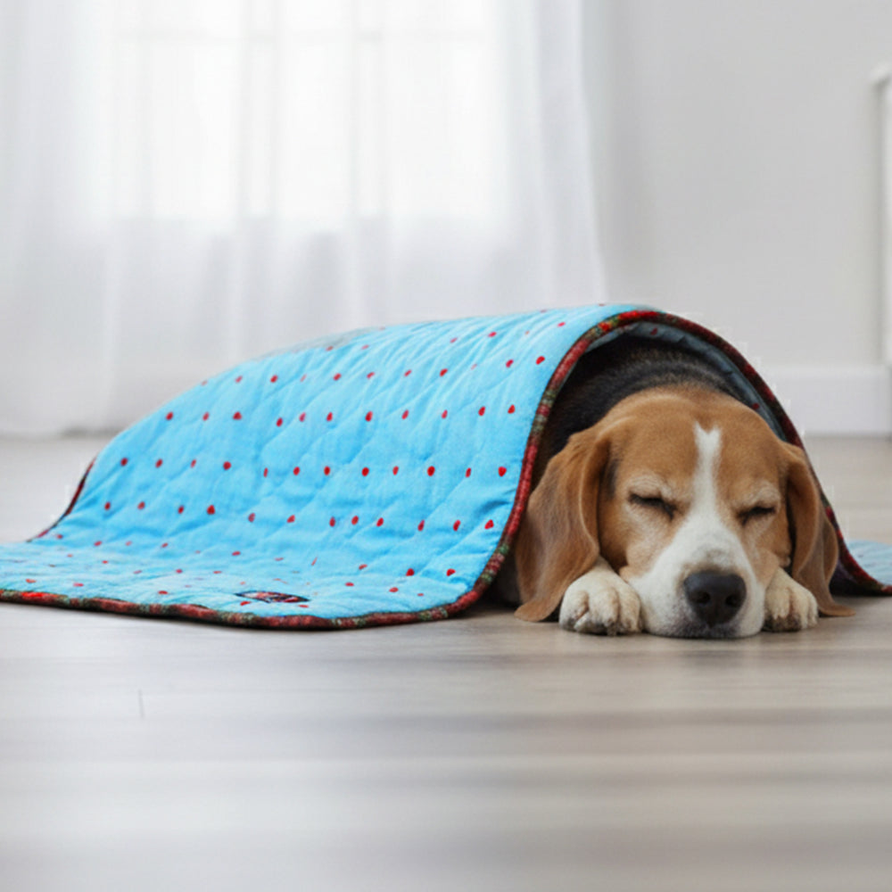 Light Blue Denim Blanket for Cats and Dogs