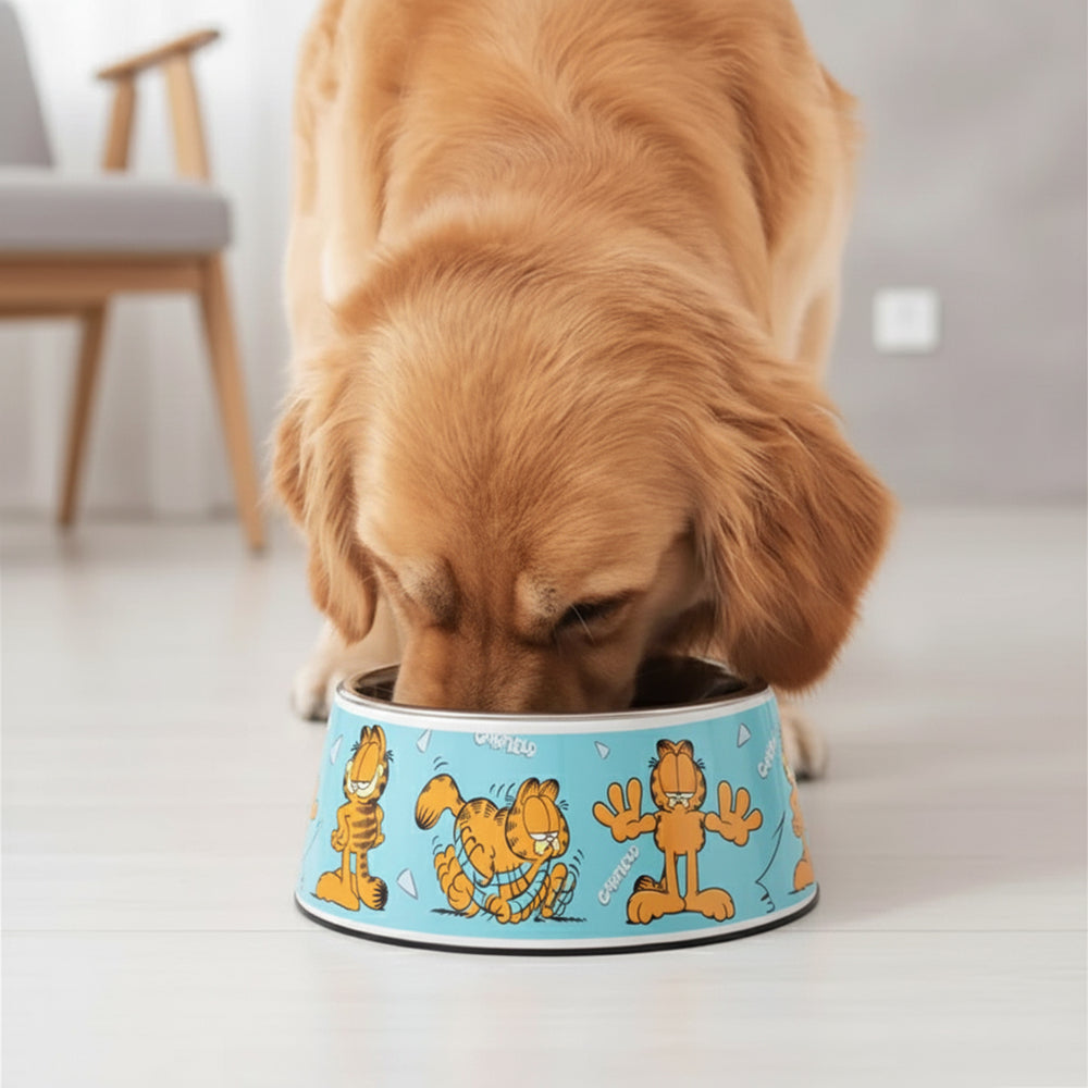 Garfield Poses Dog Bowl