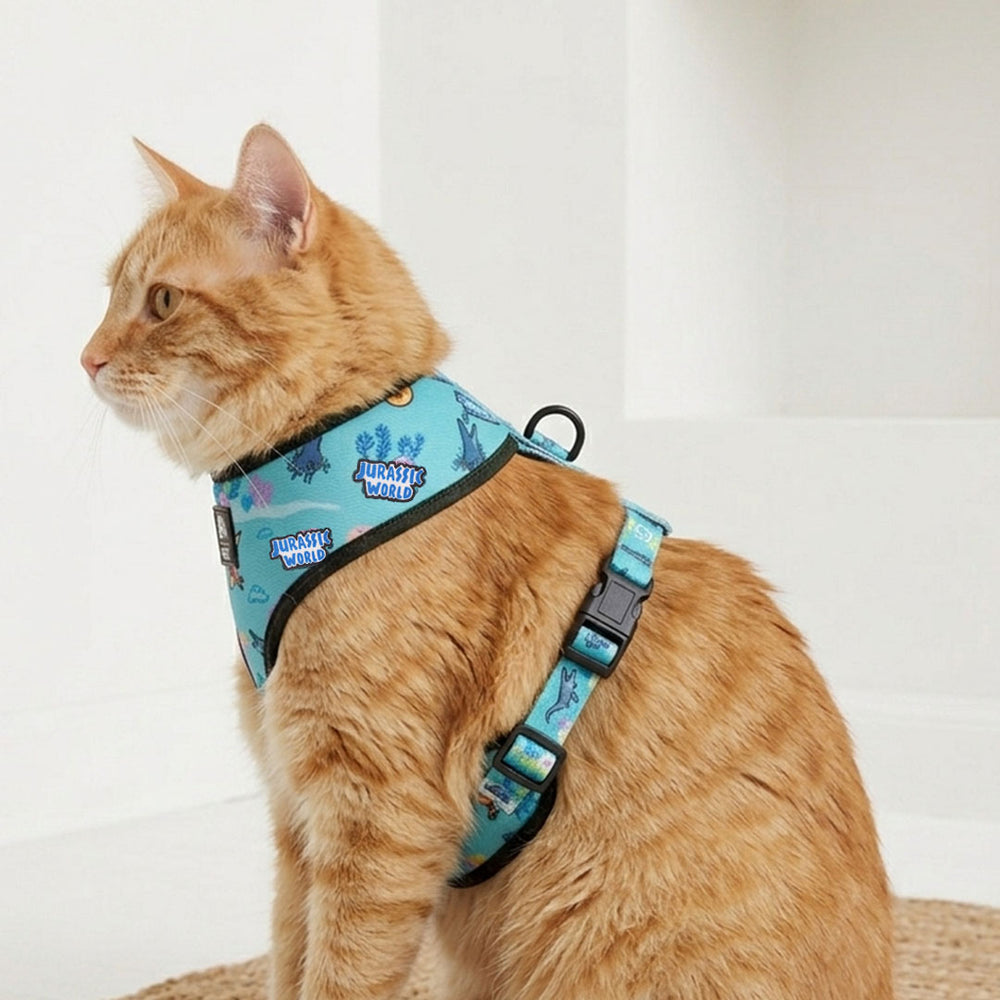 Jurassic Marine Dino Cat Harness | Ocean Dinosaur Adventure Harness for Cats