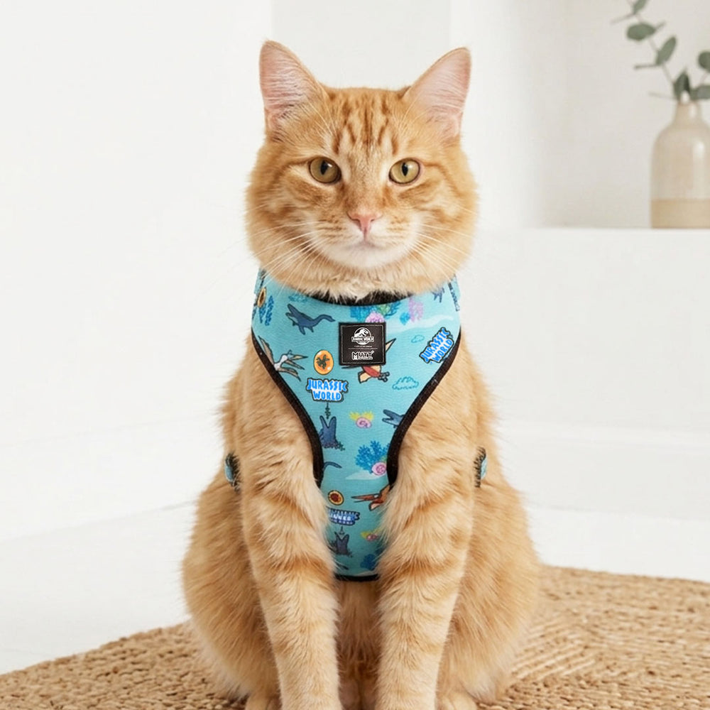 Jurassic Marine Dino Cat Harness | Ocean Dinosaur Adventure Harness for Cats