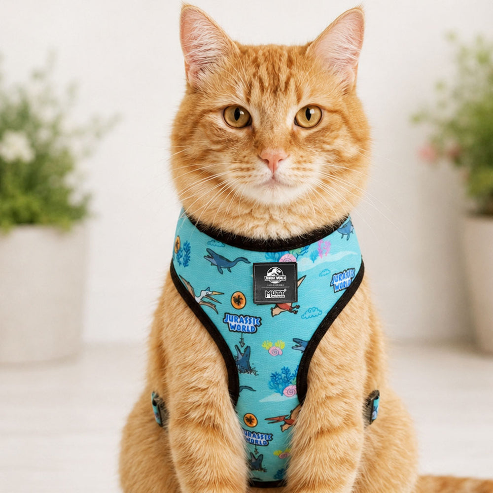 Jurassic Marine Dino Cat Harness | Ocean Dinosaur Adventure Harness for Cats