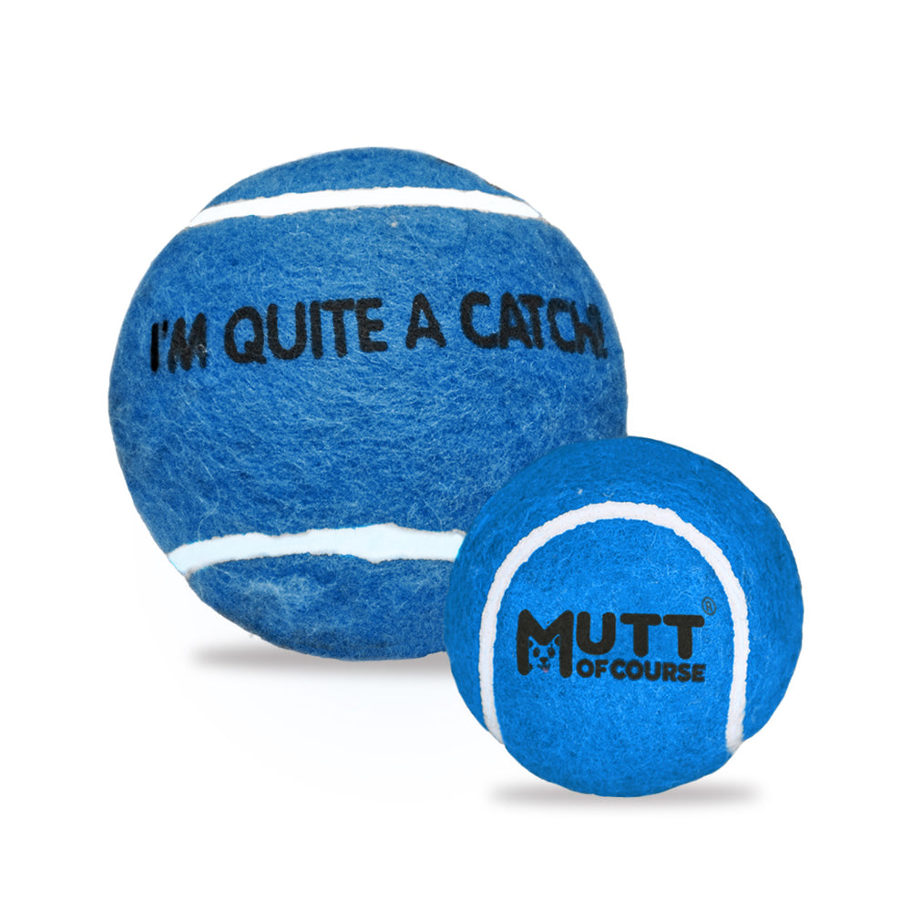 Squeaky Fetch Balls - Set of 2
