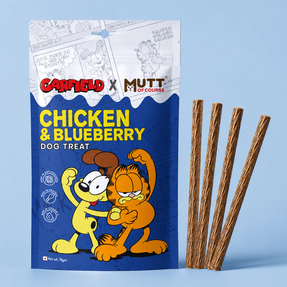 Chicken & Blueberry Dog Treats Sticks