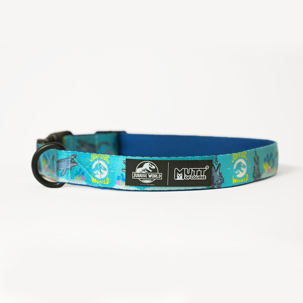 Jurassic Marine Dino Dog Collar
