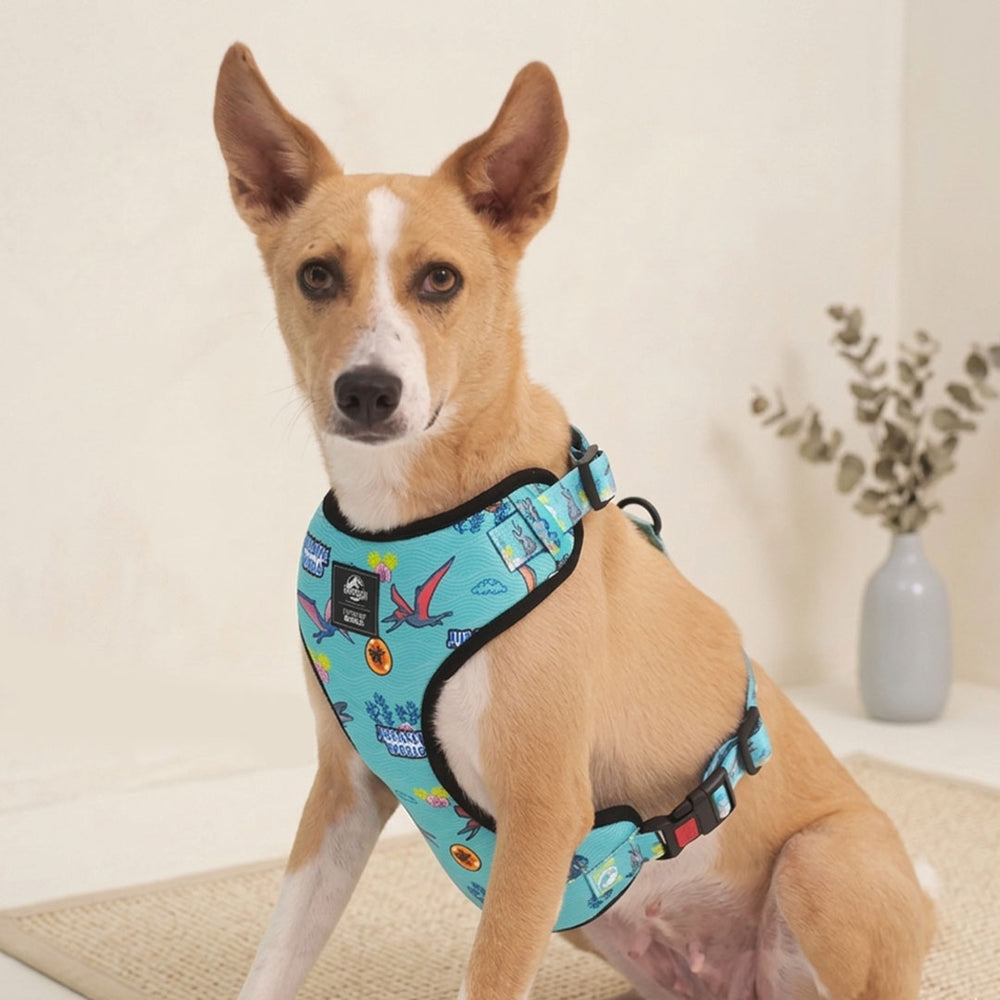 Jurassic Marine Dino Dog Harness | Ocean Dinosaur Adventure Harness for Dogs