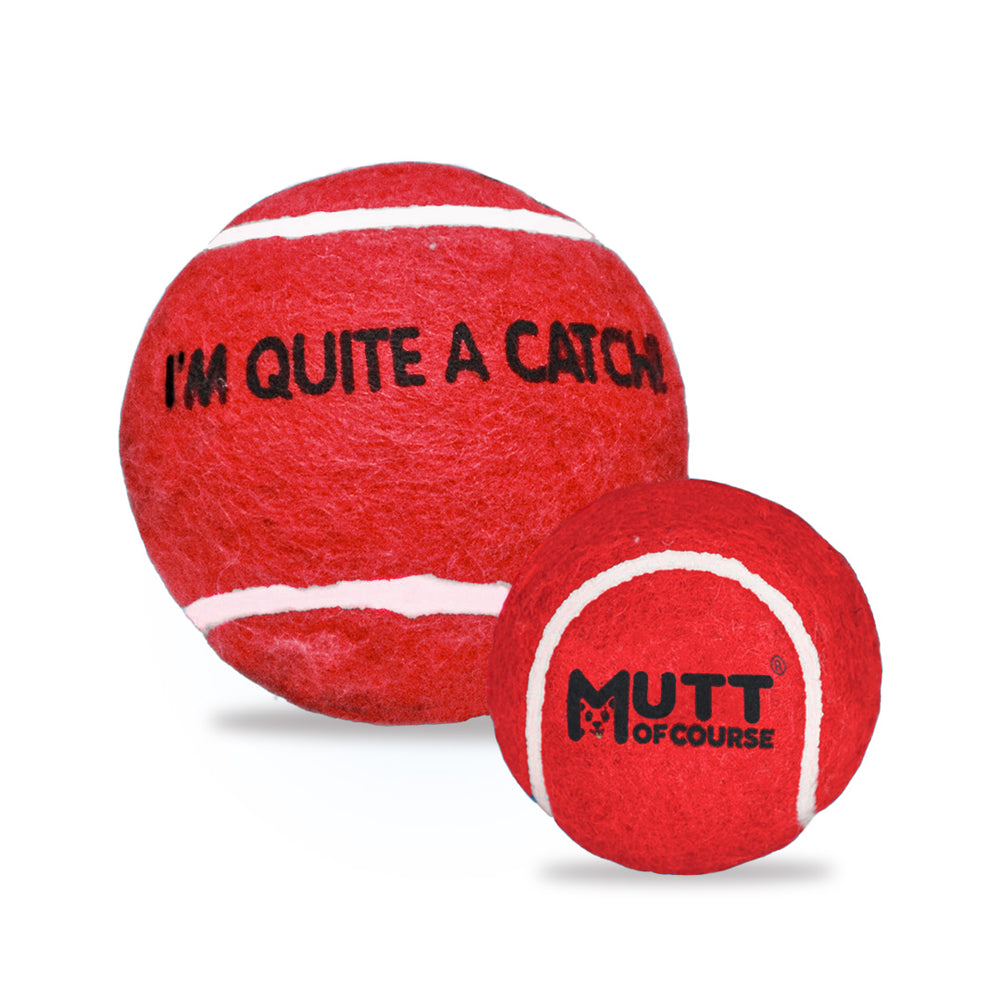 Squeaky Fetch Balls - Set of 2