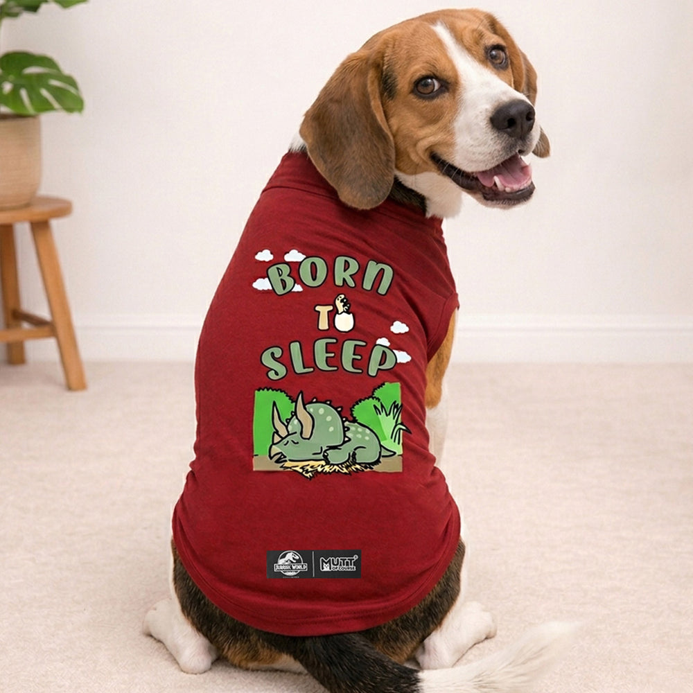 Jurassic Born To Sleep Dog T-Shirt | Dinosaur Comfort Graphic Tee for Dogs