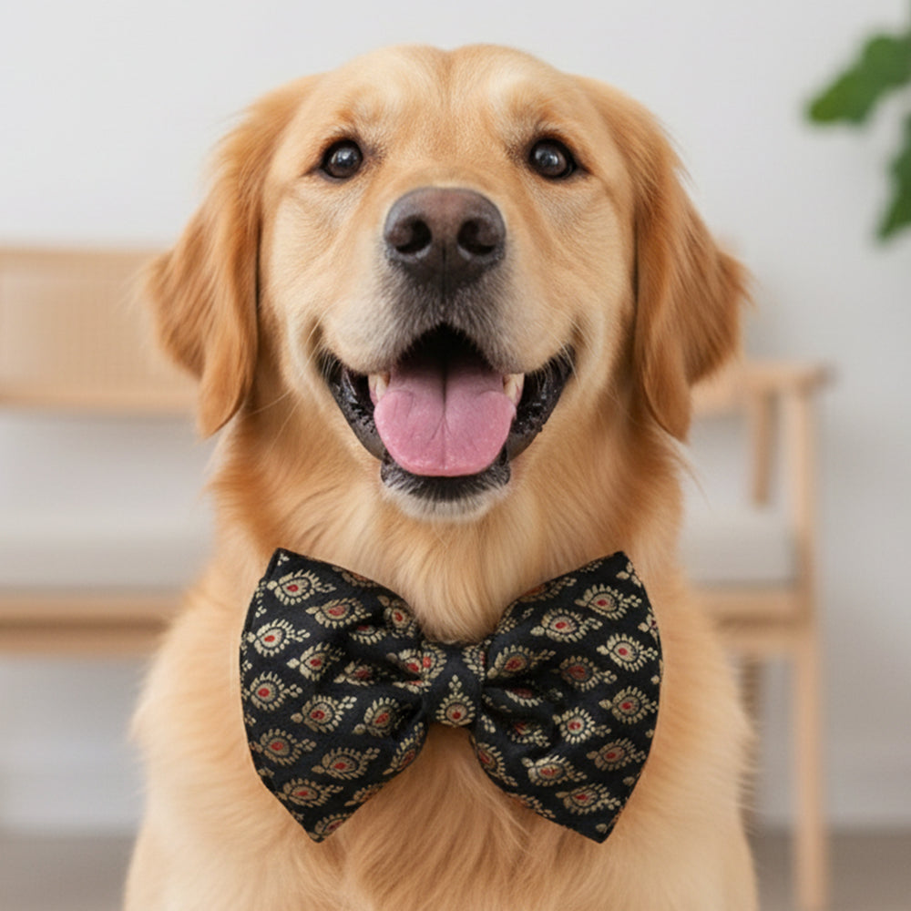 Black Festive Dog Bow (Without Strap)