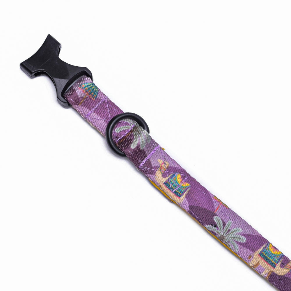 Royal Indian Camel Collar For Cats