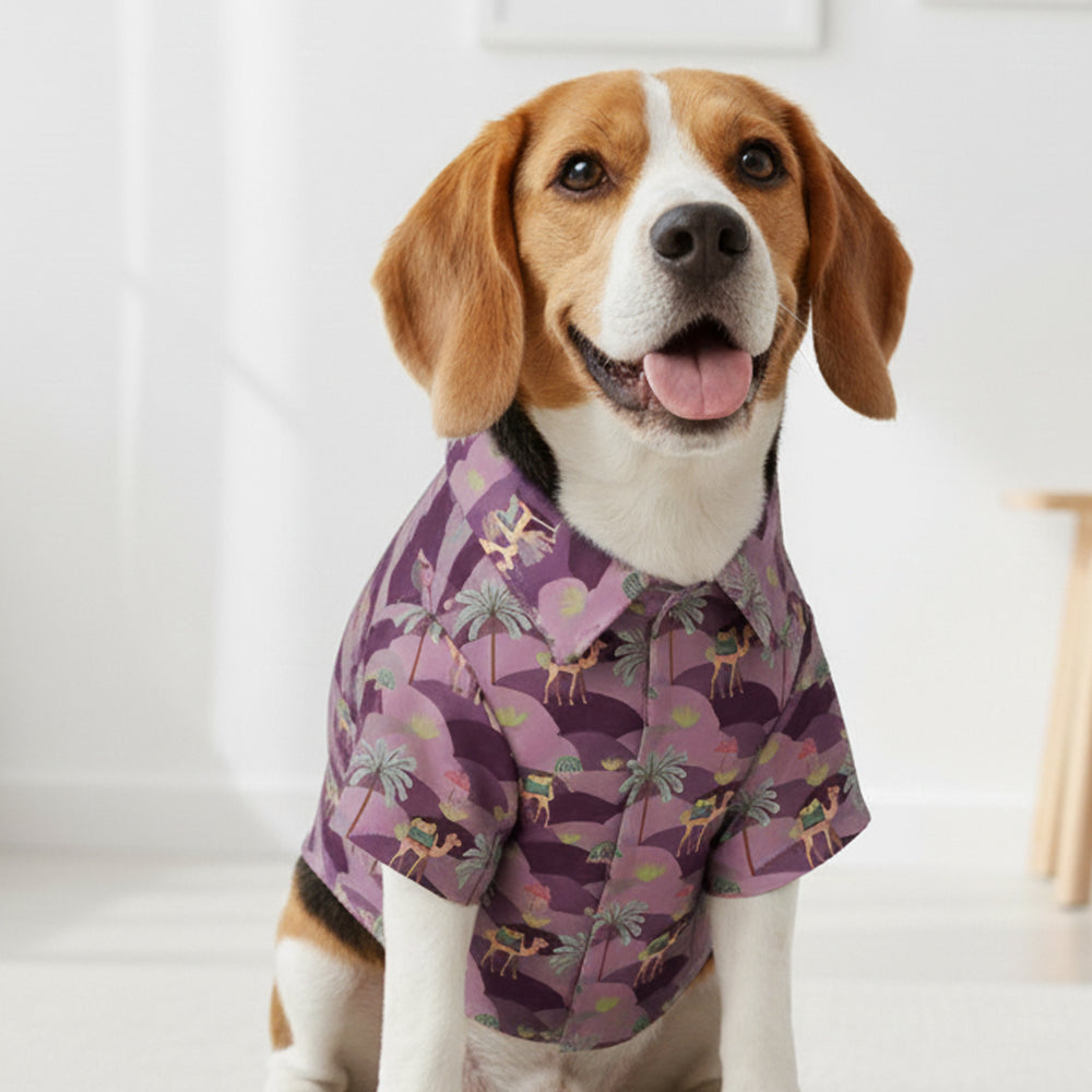 Royal Indian Camel Shirt