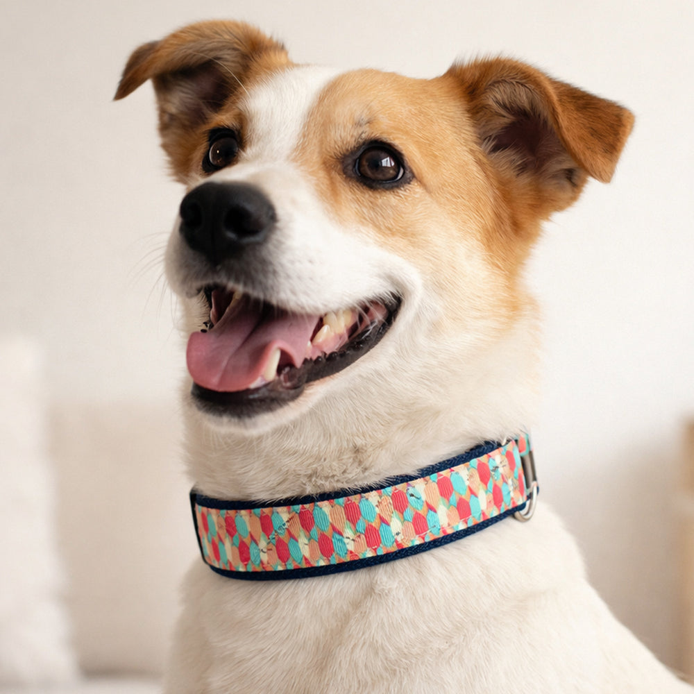 Candy Barr Denim Collar