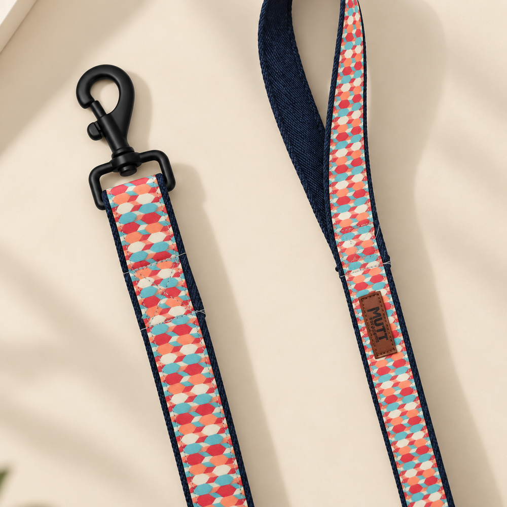 Candy Barr Leash