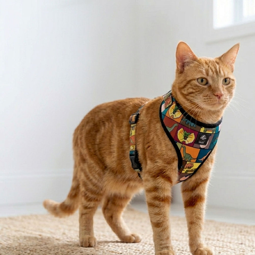 Jurassic Classic Cat Harness | Dinosaur Adventure Harness for Cats