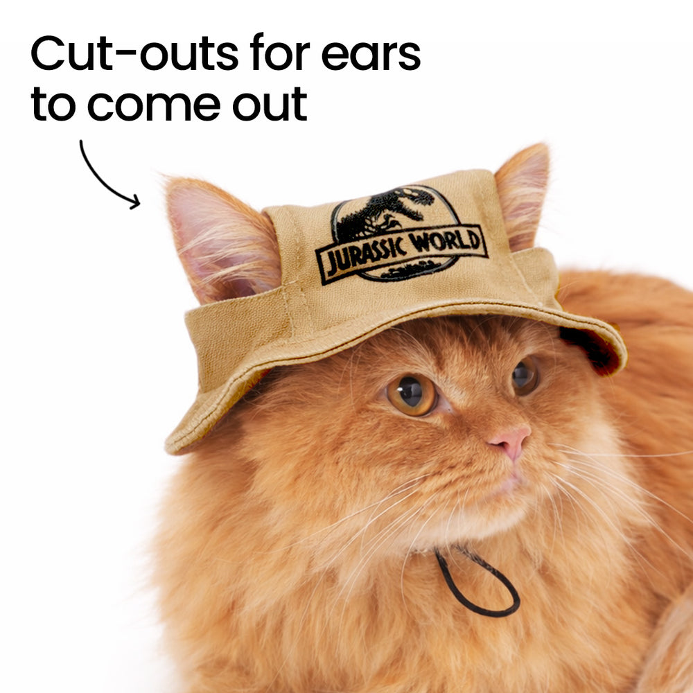 Jurassic Mini Explorer Bucket Hat for Cats | Dinosaur Adventure Pet Sun Hat