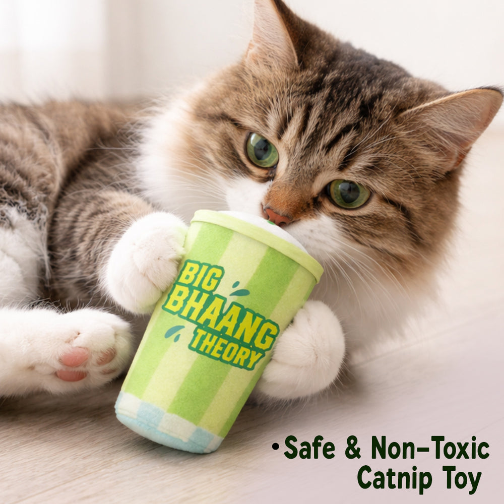 Big Bhaang Theory Catnip Plush Toy
