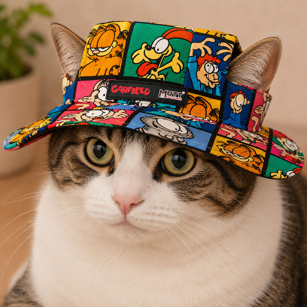 The Garfield Gang Cat Hat