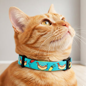 Hot Dog Collar for Cats