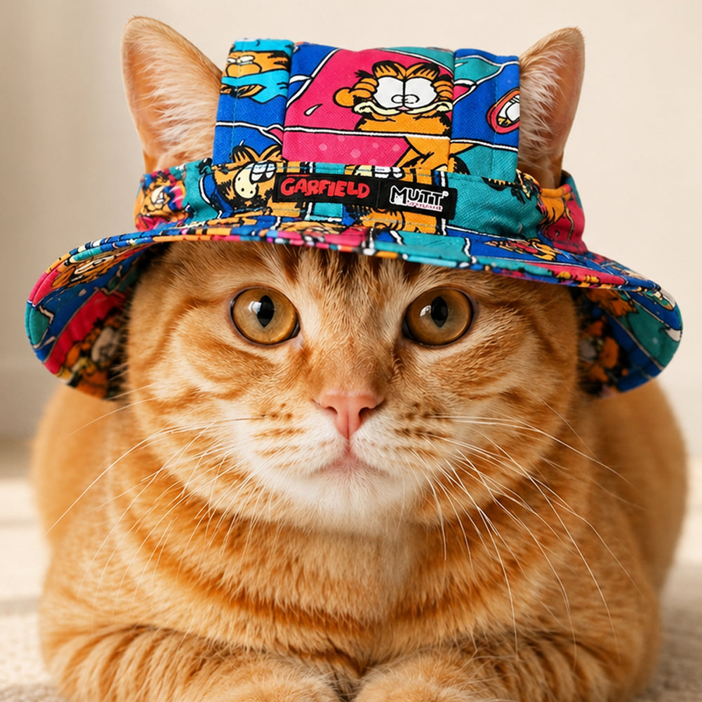 Garfield Moods Cat Hat