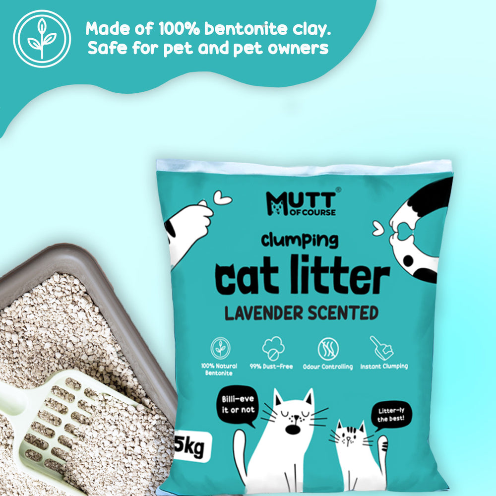 Instant Clumping Lavender Bentonite Cat Litter