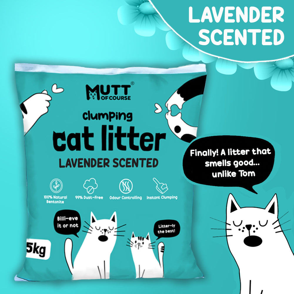 Instant Clumping Lavender Bentonite Cat Litter