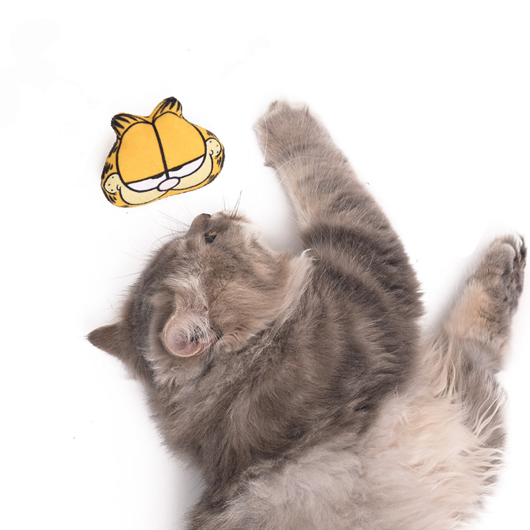 Garfield Cat Nip Toy by Mutt of Course