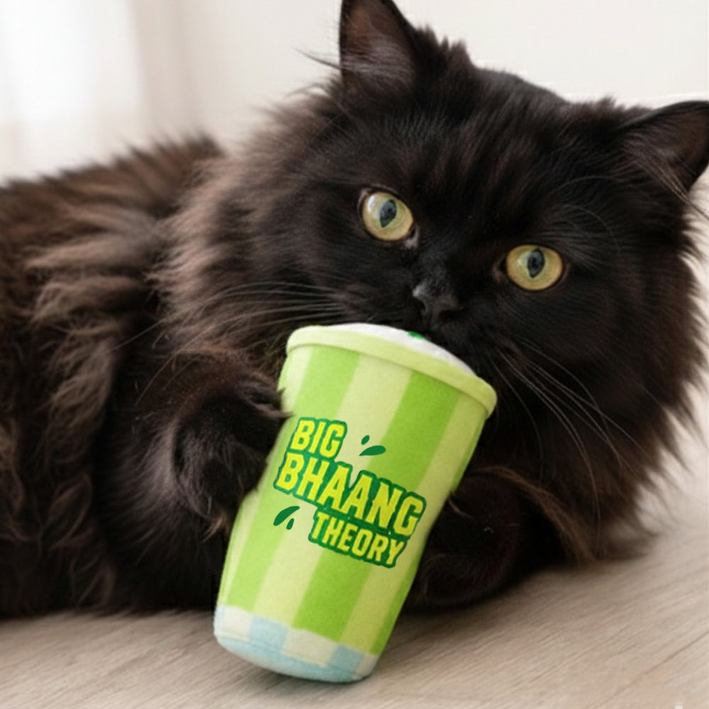 Big Bhaang Theory Catnip Plush Toy