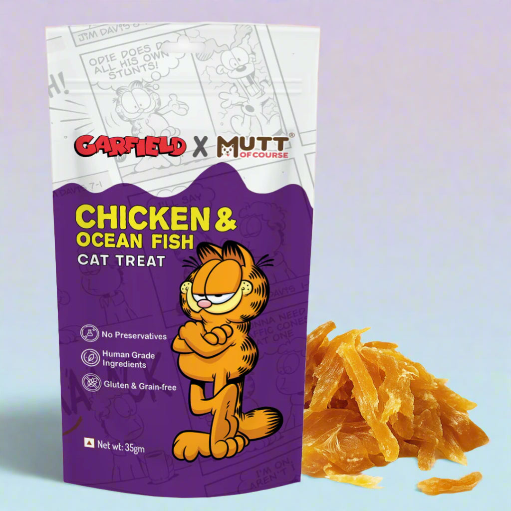 Garfield Chicken and Ocean Fish Cat Treats Healthy Tasty