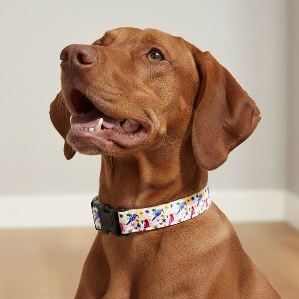 Chirpy Chirps Adjustable Collar