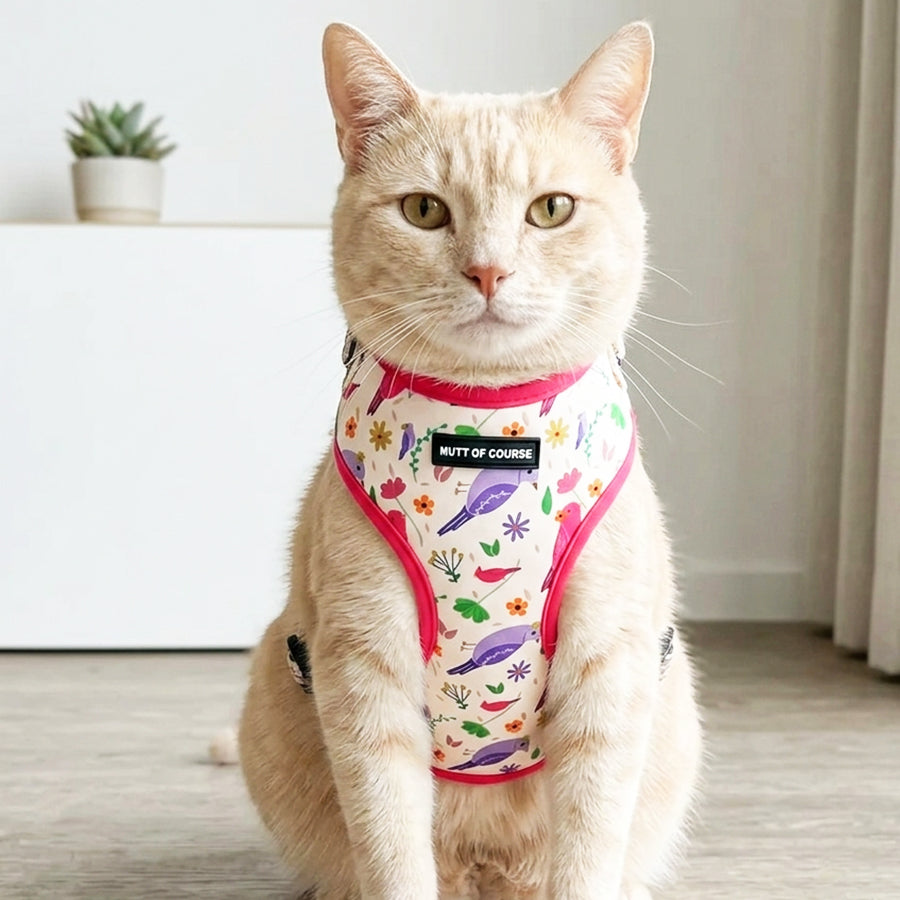 Chirpy Chirps Vest Harness For Cats