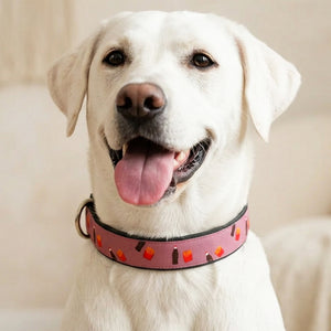 Cola N' Fries Denim Collar