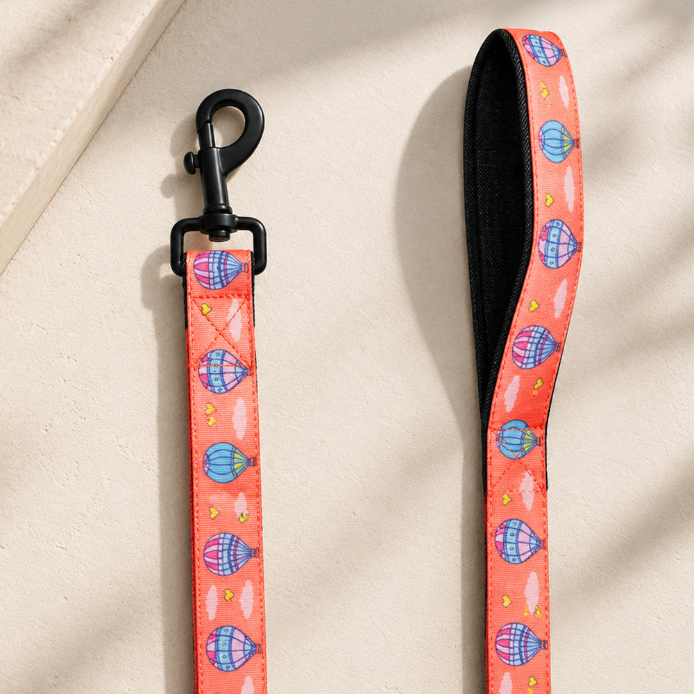 Hot Air Balloon Leash