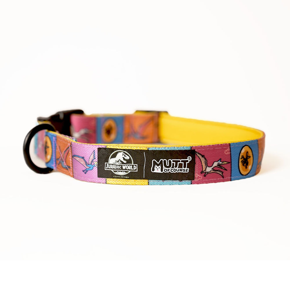 Jurassic Flying Dinos Dog Collar