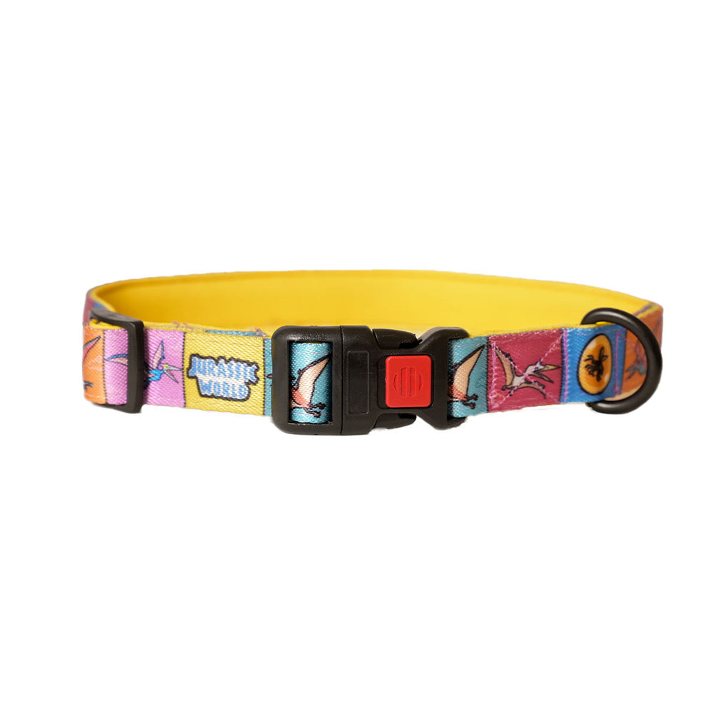 Jurassic Flying Dinos Dog Collar
