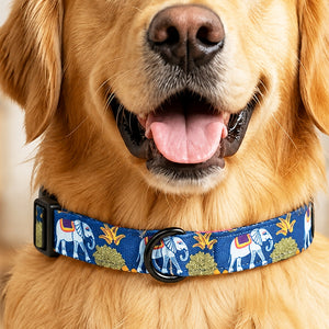 Royal Indian Elephant Collar For Dogs