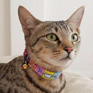 Jurassic Flying Dinos Cat Collar