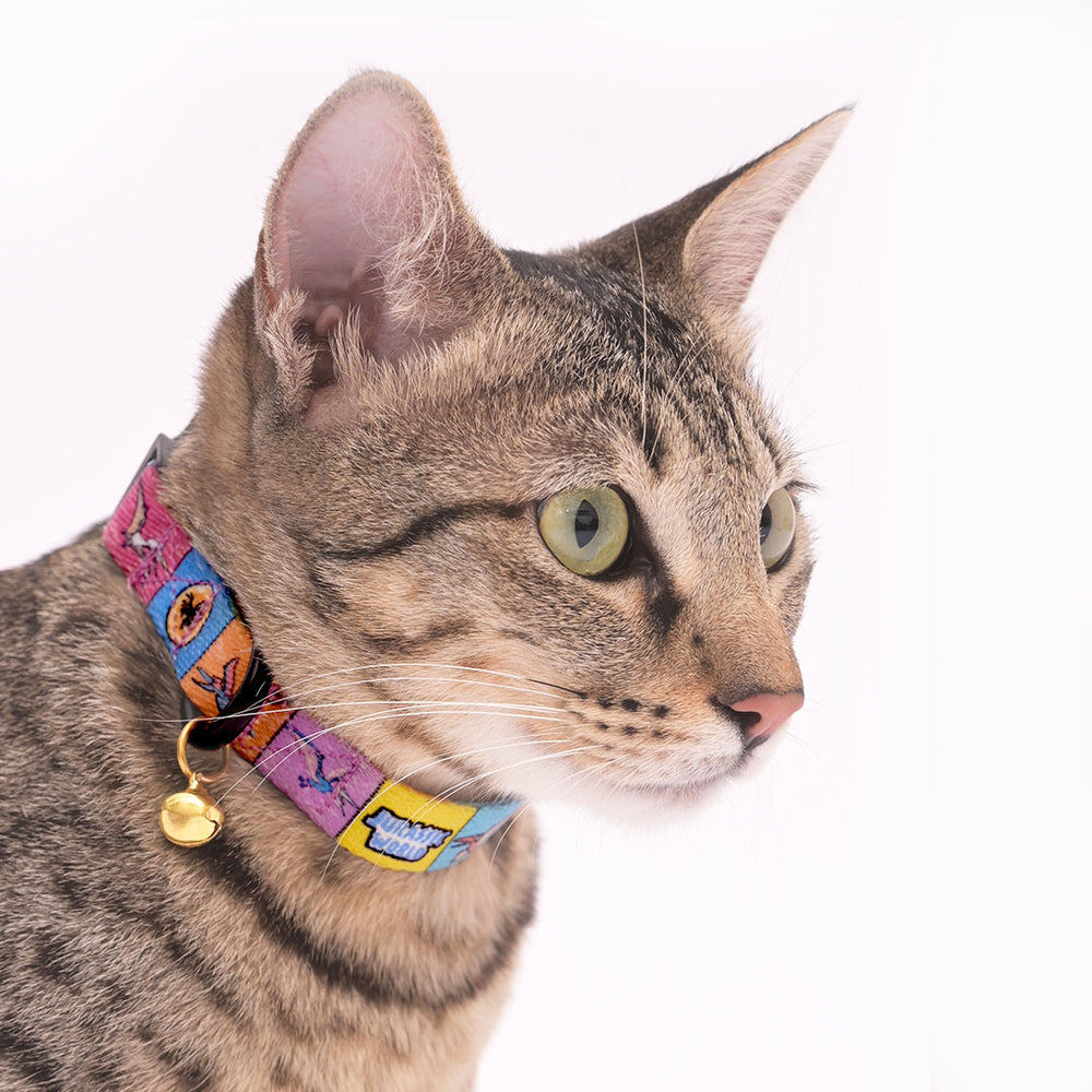 Jurassic Flying Dinos Cat Collar