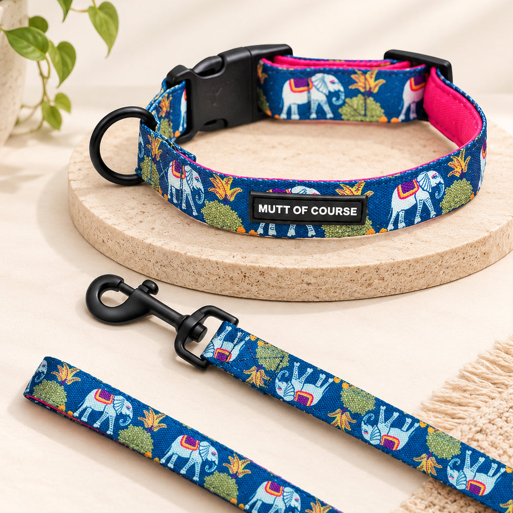 Royal Indian Elephant Collar + Leash Set
