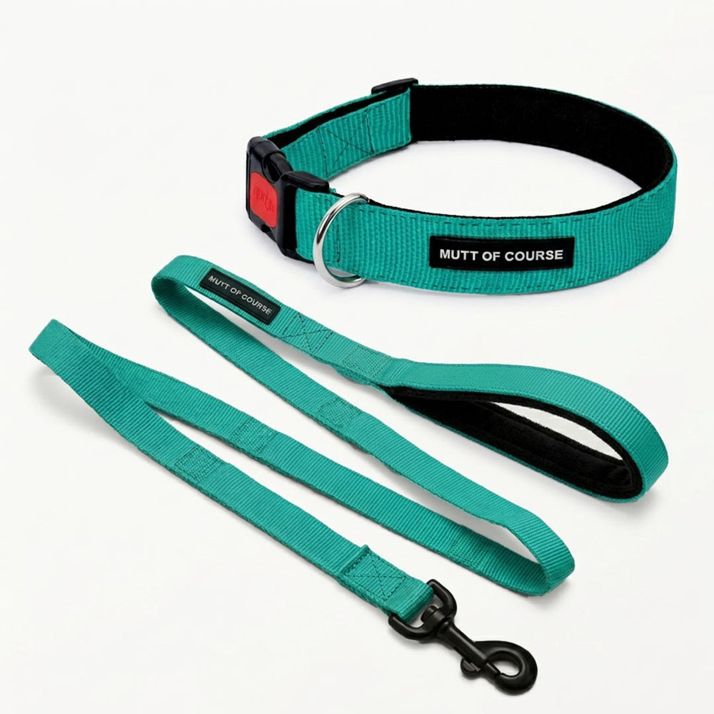 Mutt Of Course Basic Sea Green Dog Collar & Leash Combo